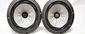 Fostex_FE208ES-R